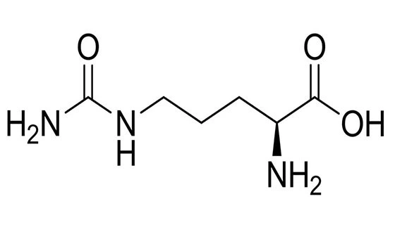 L- Citrulline